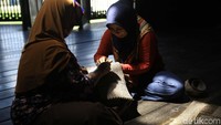 Perajin Sovenir sedang memproduksi tas anyaman dari limbah kayu di Desa Wisata Sungai Wain Balikpapan.