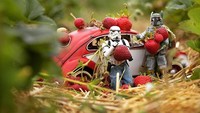 Darryl dengan detail mengatur pose figur robot ini ketika melakukan kegiatan sehari-hari. Eric memiliki hobi memasak, membuat jus buah, membuat kue, hingga memarut keju. Foto: Instagram @darryljones