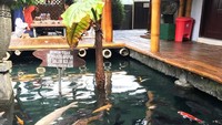 Lihat nih, kolamnya bening dan berisi beragam aneka ikan hias. Bisa dikasih makan dengan pakan ikan hias juga lho. Foto: Instagram @kitchenset_balikpapan