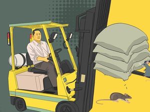 Jadi Dirut Bulog, Buwas Bakal Gebuk Mafia Beras