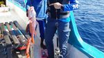 Begini Serunya Melihat Dimas Seto Mancing Hingga Jajan di Jepang