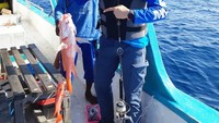 Punya hobi memancing. Kali ini Dimas Seto membawakan sang istri ikan berukuran agak besar hasil pancingannya di laut. Wah enaknya dimasak apa ya? Foto: Instagram @dimasseto_1