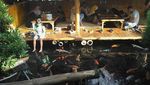 Liburan ke Malang, Asyiknya Makan Lesehan Sambil Main Ikan di Sini