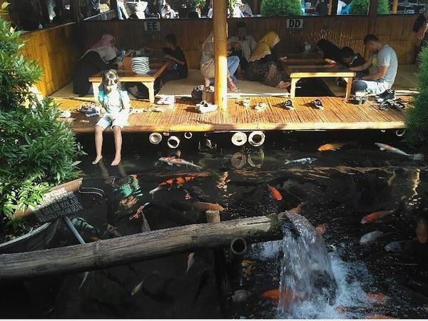Liburan ke Malang, Asyiknya Makan Lesehan Sambil Main Ikan di Sini