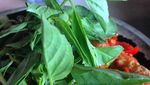 Liburan ke Malang, Asyiknya Makan Lesehan Sambil Main Ikan di Sini