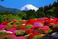 Empat Musim dan Sejarah Hakone