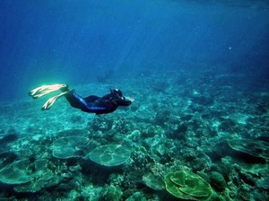 Maluku Utara Memang Bikin Lupa Daratan