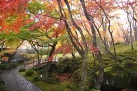 Empat Musim dan Sejarah Hakone