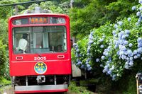 Empat Musim dan Sejarah Hakone