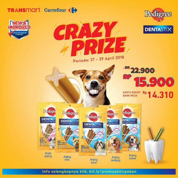 7400 Gambar Hewan Peliharaan Sedang Makan HD Terbaru