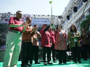 Mimpi Surabaya Miliki Kebun Raya Mangrove Terwujud