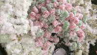 Ada kue putu, klepon dan lupis. Semuanya terlihat enak dan jadi dessert favorit ibu tiga anak ini. Foto: Instagram @ruby_26