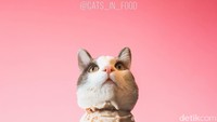 Waiting for the summer to come, tulis keterangan foto ini. Duh ada kepala kucing imut yang menggantikan scoop teratas es krim. Foto: instagram @cats_in_food