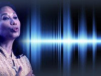 Disebut di Percakapan Rini dan Bos PLN, Siapakah Pak Ari?