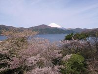Empat Musim dan Sejarah Hakone
