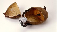 Explosive Canteen bentuknya yang tidak mencurigakan ini rupanya mengandung bahan peledak dan digunakan oleh pejabat intelijen Angkatan Darat AS antara tahun 1942 dan 1945. Istimewa/brightside.me.