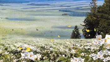 Wallpaper ini bernama daehongdans potato flower. Foto: Will Scott