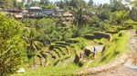 Foto: Sawah di Film Avengers: Infinity War