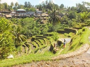 Koster Larang Bupati & Wali Kota Beri Izin Alih Fungsi Lahan Pertanian