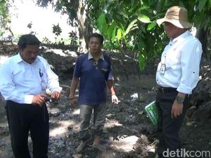 BPCB Cek Lokasi Penemuan Bangunan Kuno Diduga Peninggalan Majapahit