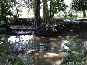 Video Penemuan Bangunan Kuno di Pasuruan