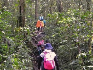 Menggapai Puncak Gunung Api Tertinggi di Asia Tenggara