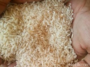 Buwas: Ada Oknum Bulog Mainkan Raskin