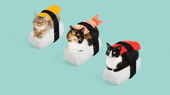 Saat ini followernya mencapai 110 ribu. (Foto: Instagram)