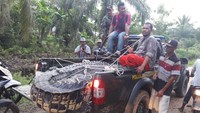Kemudian warga menyerahkan buaya dengan panjang 4 meter tersebut kepada pihak BKSDA Aceh wilayah Kota Langsa. Menurut informasi warga, buaya itu juga sempat menerkam warga Seruway beberapa hari lalu hingga meninggal dunia.