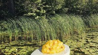 Karyanya memang selalu ‘out of the box’. Lihat saja karyanya yang satu ini. Ada potongan telur rebus yang mengambang di atas kolam. Foto: Instagram @brockdavis