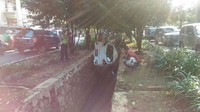 Saat kehilangan kendali kemudi, mobil tersebut menabrak pembatas jalan. Akhirnya mobil berwarna putih itu terperosok ke saluran air. (Foto: Dok. Polres Jakbar)