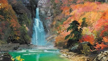 Wallpaper bernama Echo of the falls. Foto: Will Scott