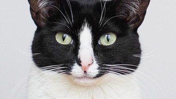 Tapi lantaran juga karena foto yang dipajang sangat menarik. (Foto: Instagram)