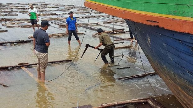 Ratusan Kayu Tak Bertuan Kembali Ditemukan di Sungai Sumsel