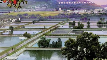 Wallpaper ini bernama Beomanlis Outskirts. Foto: Will Scott