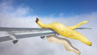 Wah, ini sih keren banget kalau ada di kehidupan nyata. Kulit pisang berukuran jumbo ini tersangkut di sayap pesawat. Foto: Instagram @brockdavis