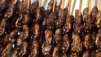 Sepertinya, Kaka sedang ada di Beijing dalam perjalanannya ini. Terlihat kuliner ekstrem berupa sejenis serangga kecoak yang diabadikan Kaka ini (Kaka/Instagram)  