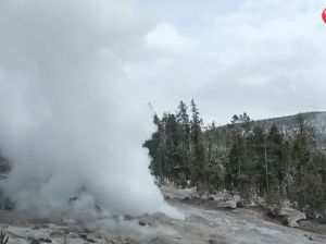 Iseng Masak Ayam di Kawah Panas, Pria Ini Dilarang Masuk Yellowstone