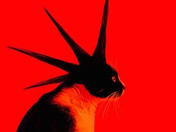 Kucing Menggemaskan yang Eksis di Instagram