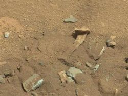 Tak Cuma Benda Mirip Tulang Kaki, Ini Objek Aneh Ditemukan di Mars