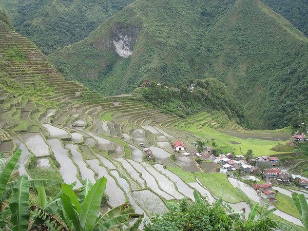 Atas keindahannya, teras sawah Banaue bahkan disebut-sebut sebagai Keajaiban Dunia ke-8. Seperti di film, sawah di Banaue juga dikelilingi pepohonan dan perbukitan hijau (Banaue Terraces) Atas keindahannya, teras sawah Banaue bahkan disebut-sebut sebagai Keajaiban Dunia ke-8. Seperti di film, sawah di Banaue juga dikelilingi pepohonan dan perbukitan hijau (Banaue Terraces)
