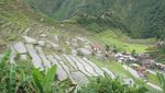 Foto: Sawah di Film Avengers: Infinity War