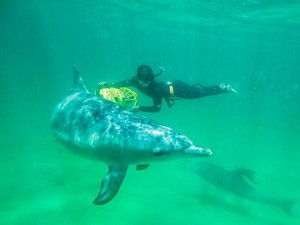 Asyiknya Liburan Tengah Tahun ke Perth di Australia Barat