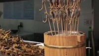 Traveler tahu ini makanan apa? Nampak kalajengking yang masih hidup dijadikan sate dan diabadikan Kaka (Kaka/Instagram)