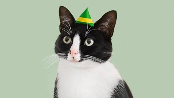 Setiap postingannya kerap mendapat ribuan like dari netizen. (Foto: Instagram)