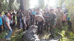 Mengerikan! Ini Buaya Raksasa yang Ditangkap Pekerja Kebun di Aceh