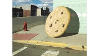  Cookie berukuran besar ini bukan cookies sungguhan. Melainkan gambar yang dibuat Davis. Foto: Instagram @brockdavis