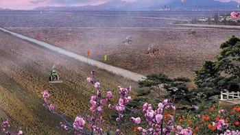 Wallpaper bernama on the horizon yang menunjukkan pemandangan pertanian di Korea Utara. Foto: Will Scott