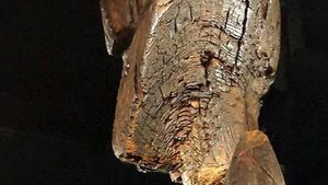 Foto: Ini Patung Kayu Kuno dari Zaman Es Berusia 11.600 Tahun
