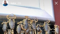Mungkinkah Kaka saat itu ada Wangfujing Street di Beijing, China. Tempat yang populer dengan pedagang aneka kuliner ekstrem (Kaka/Instagram)